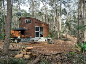 Luxury Tiny Homes in the Forest